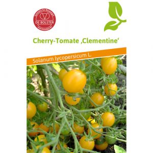 Cherry Tomato Clementine