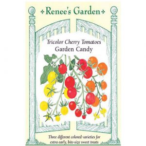 Tricolor Cherry Tomatoes Garden Candy F1