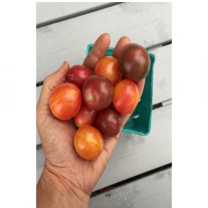 Organic Bumble Bee Mix Cherry Tomato