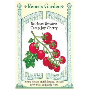 Heirloom Tomatoes Camp Joy Cherry