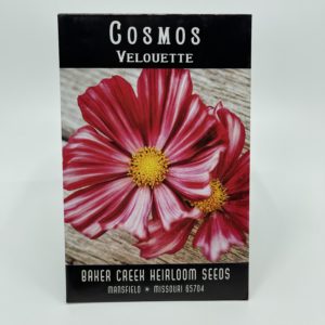 Cosmos مدونه Cosmos Fansub